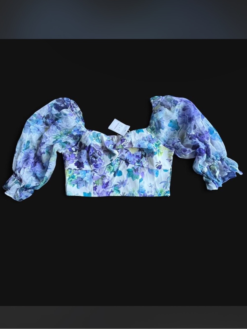 NWT Floral Puff-Sleeve Crop Top - Blue & White